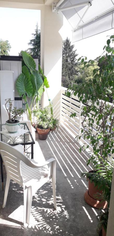 Apartment Ampio Vicino Al Centro Di Treviso, Parcheggio Gratuito Treviso
