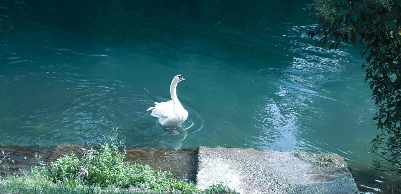 Ampio Vicino Al Centro Di Treviso, Parcheggio Gratuito Apartment *
