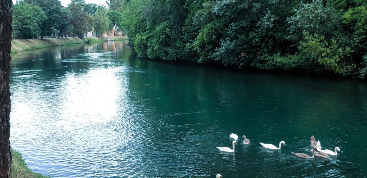Apartment Ampio Vicino Al Centro Di Treviso, Parcheggio Gratuito *